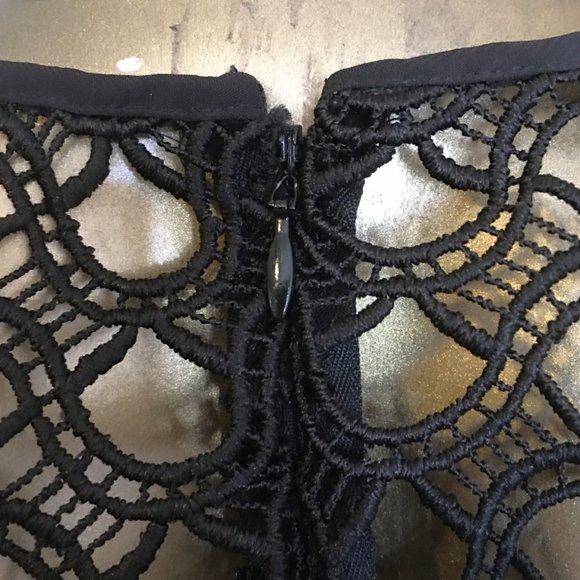 ᑕYᑎTᕼIᗩ ᖇOᗯᒪEY Sleeveless Lace-Mesh-Overlay Midi Dress - Picture 9 of 12